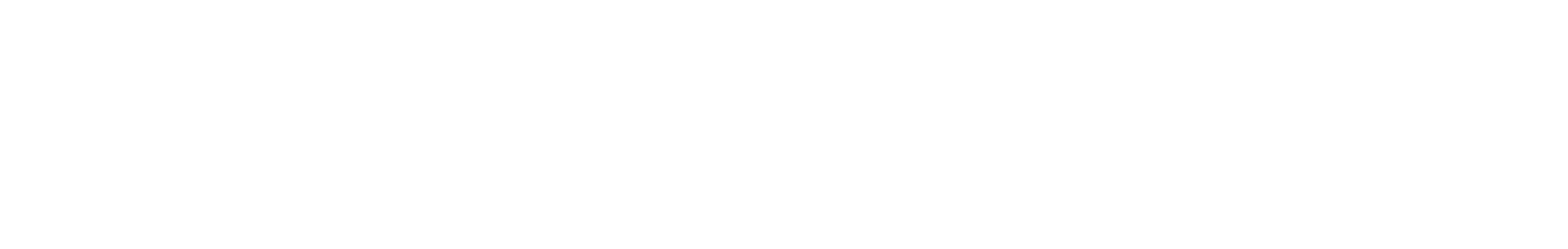 Dealer Auction
