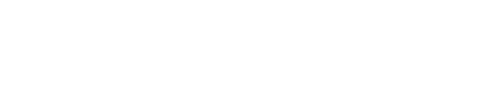 Fleetmaster Logo