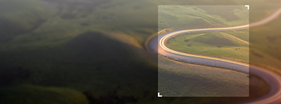 Cox Automotive: Hold your nerve for the road ahead