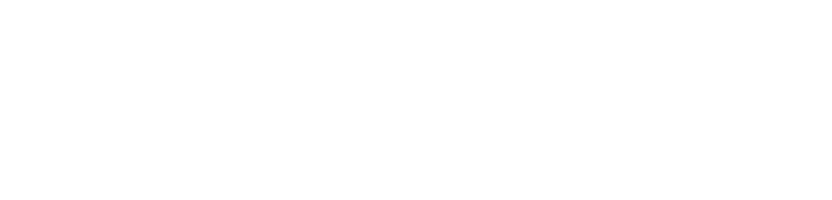 Manheim Inspection Services - A Cox Automotive Brand